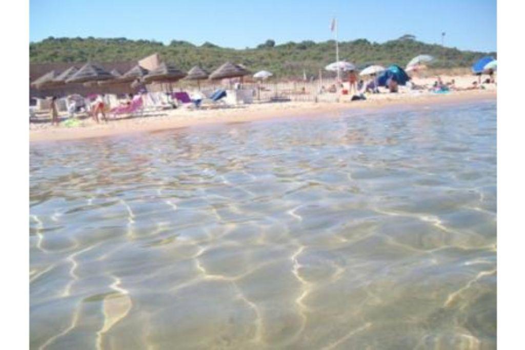 Appartement La Stanza Vicino Al Mare , Una Camera Da Letto E Bagno Con Balcone Vista Mare à Balestrate Extérieur photo